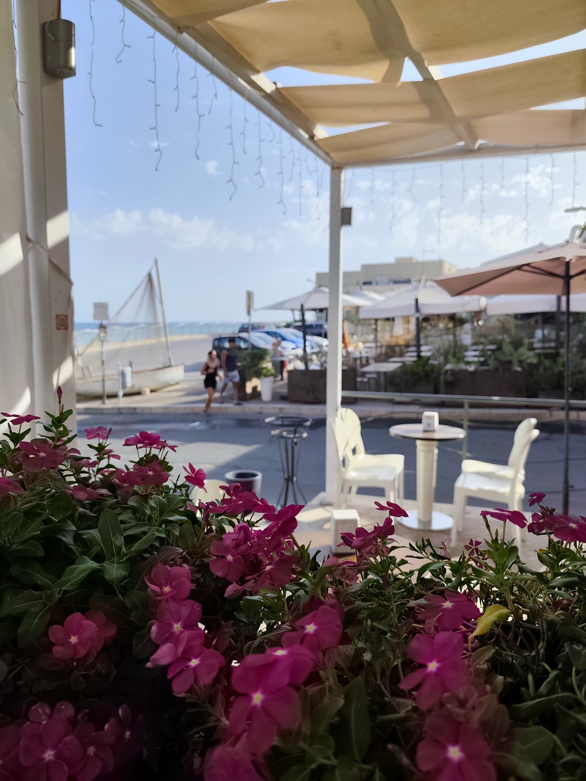 Brindisi in terrazza